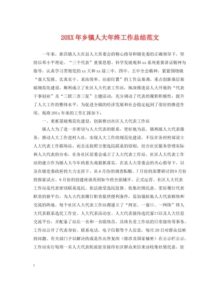 乡镇人大年终工作总结范文