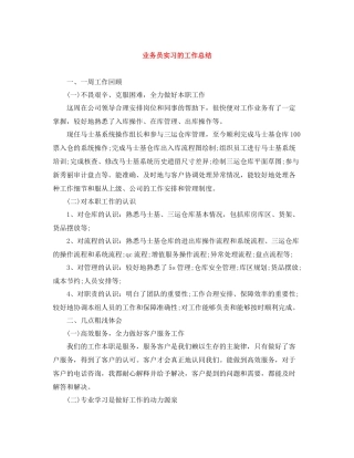 业务员实习的工作总结