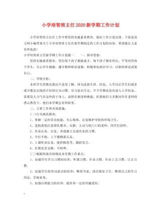 小学培智班主任2024新学期工作计划 