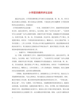 小学团员教师评议总结 