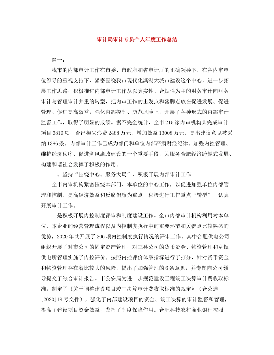审计局审计专员个人年度工作总结_第1页