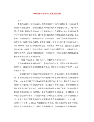 审计局审计专员个人年度工作总结