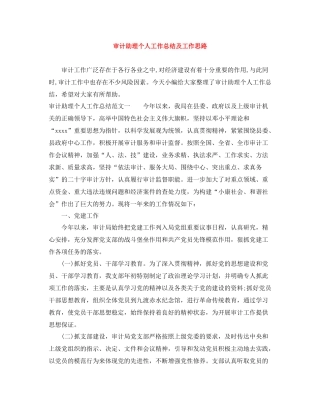 审计助理个人工作总结及工作思路