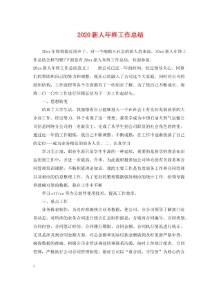 新人年终工作总结