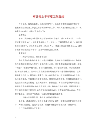 审计局上半年度工作总结
