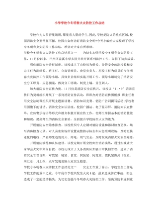 小学学校今冬明春火灾防控工作总结