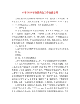 小学2024年防雷安全工作自查总结 