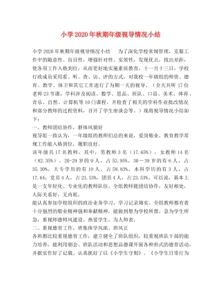 小学2024年秋期年级视导情况小结 