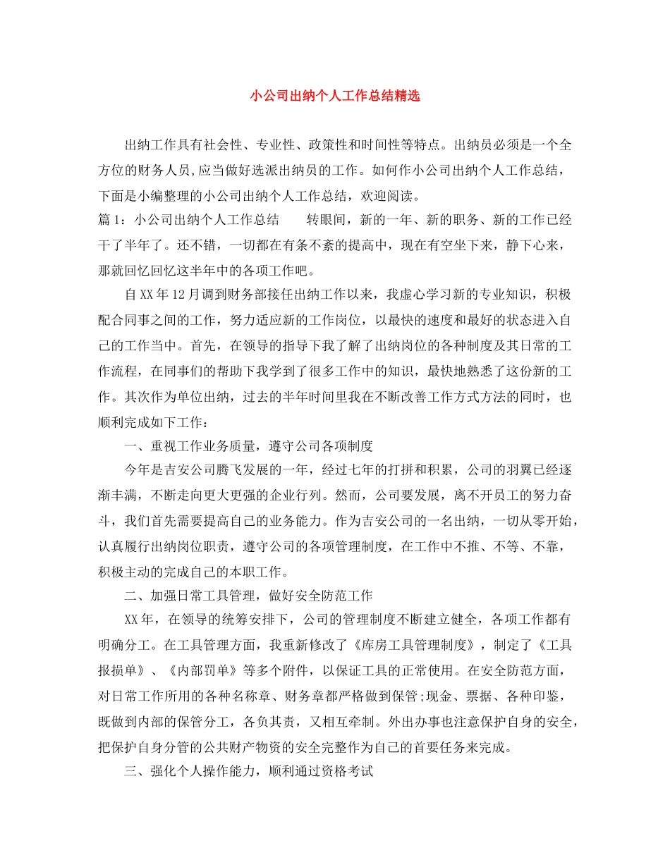 小公司出纳个人工作总结精选 _第1页