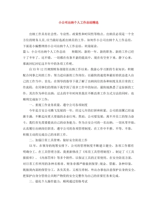 小公司出纳个人工作总结精选 