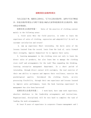 促销员英文自我评价范文 