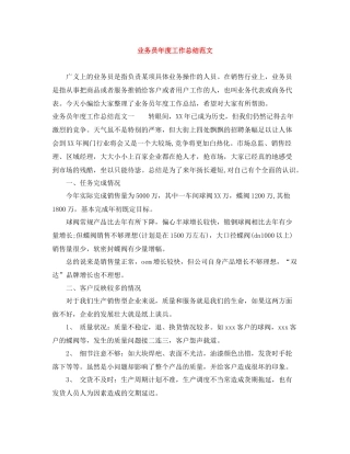 业务员年度工作总结范文