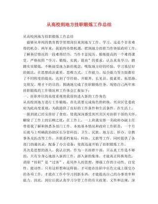 从高校到地方挂职锻炼工作总结 