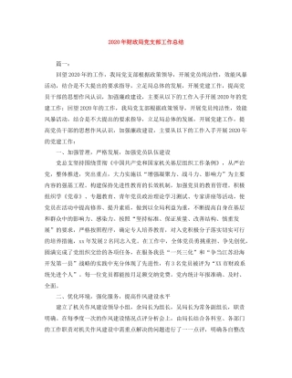 2020年财政局党支部工作总结