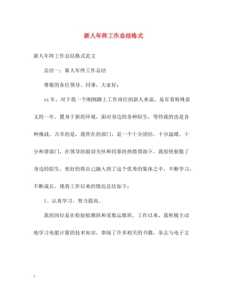 新人年终工作总结格式