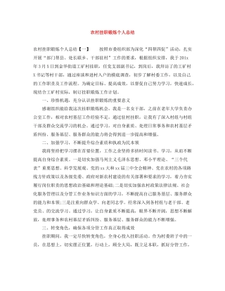 农村挂职锻炼个人总结