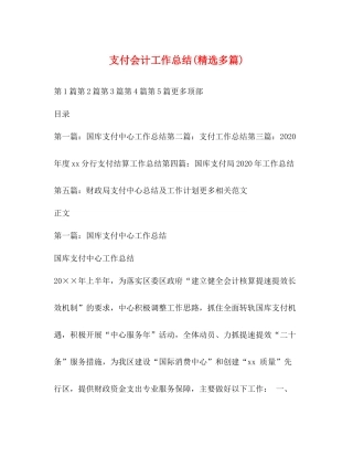 支付会计工作总结精选多篇)