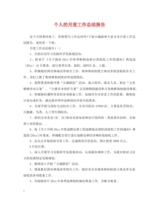 个人的月度工作总结报告 