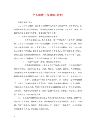 个人年度工作总结(公安) 