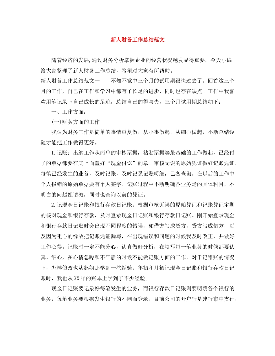 新人财务工作总结范文_第1页