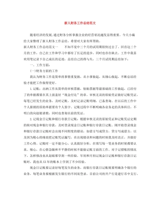 新人财务工作总结范文