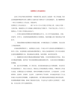 任职转正工作总结范文