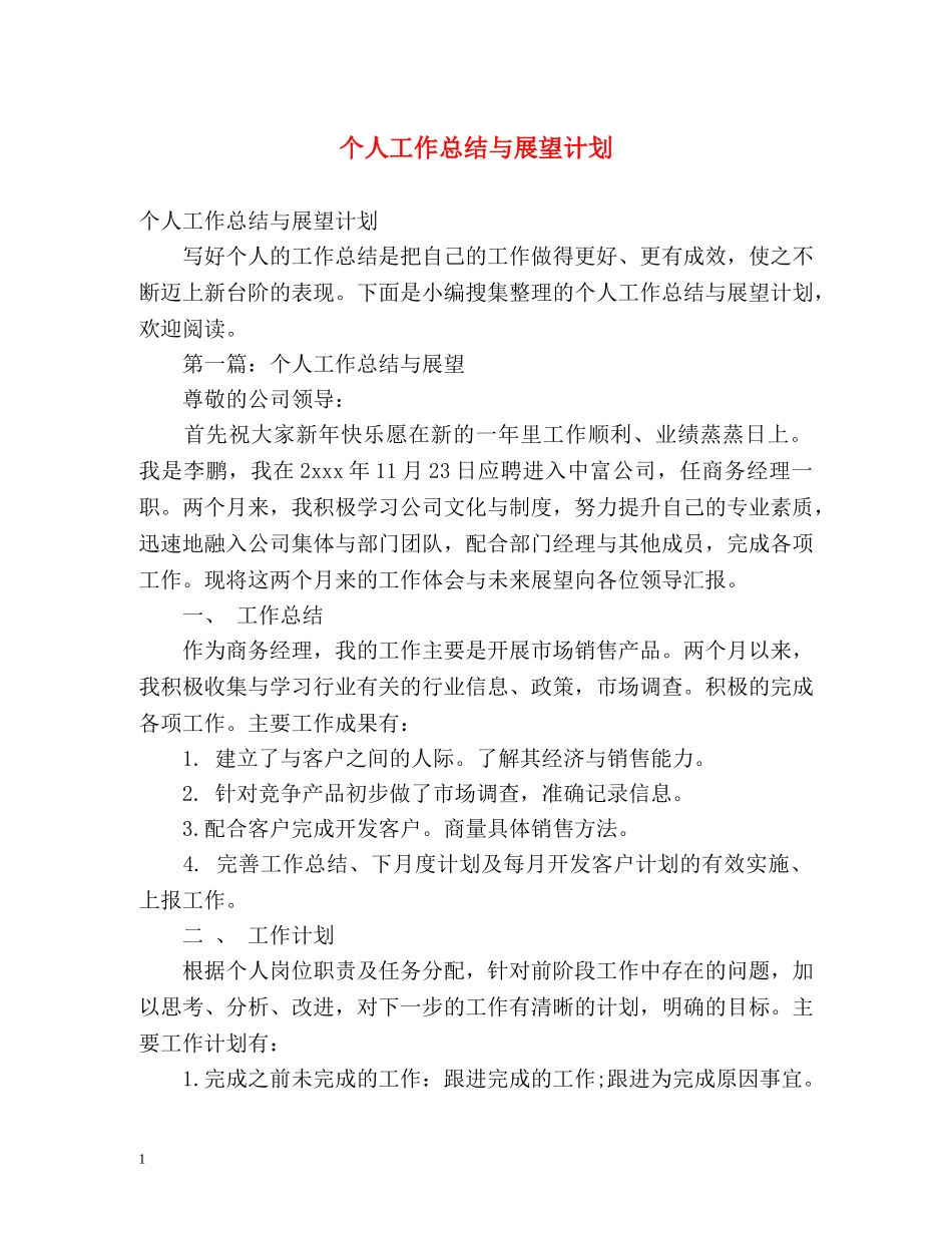 个人工作总结与展望计划 _第1页