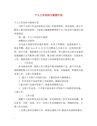 个人工作总结与展望计划 