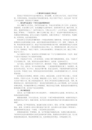 一个菜鸟审计总监的工作札记