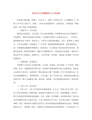 2024年12月乡镇宣传个人工作总结 