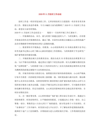 2024年11月驻村工作总结 