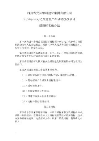 项目招投标实施方案