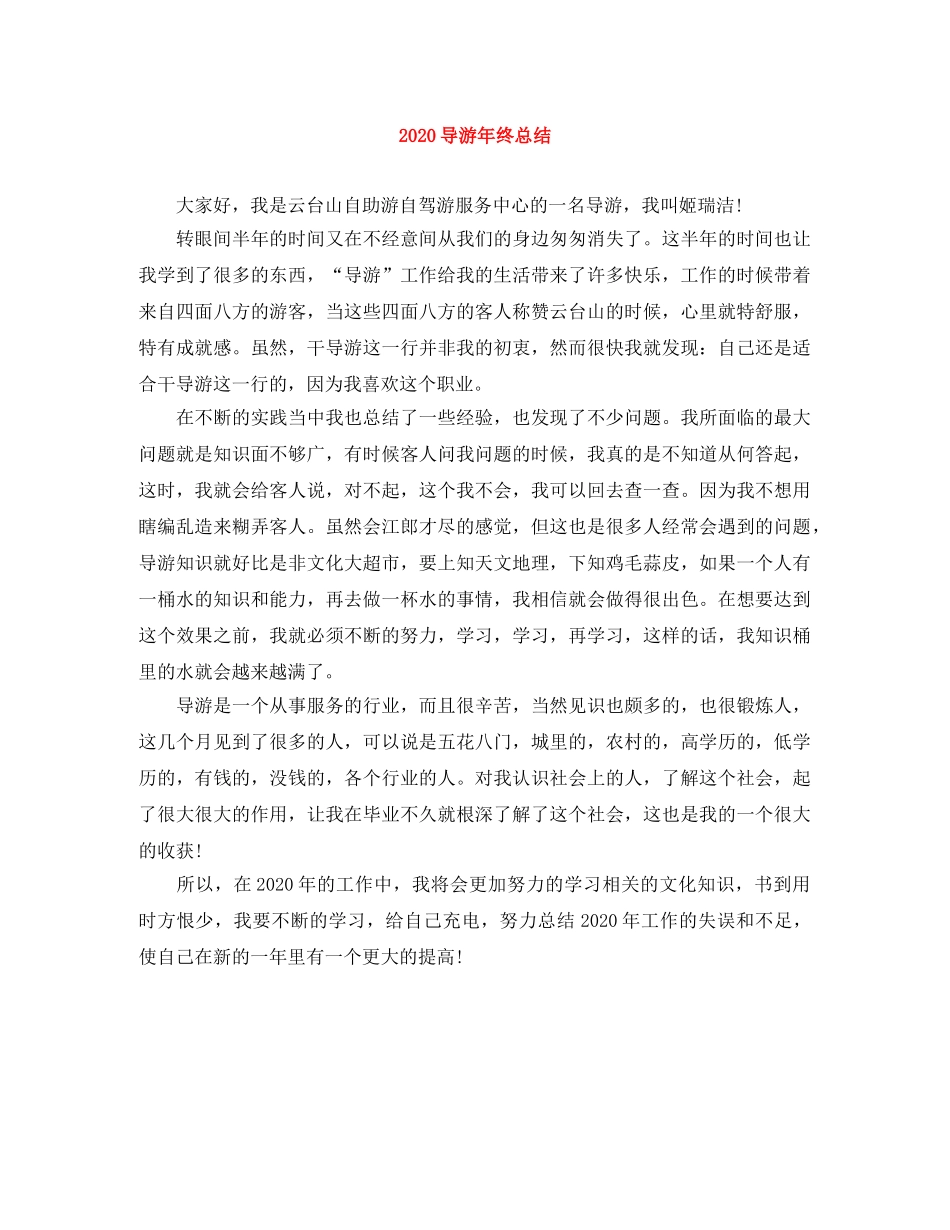 2024导游年终总结 _第1页