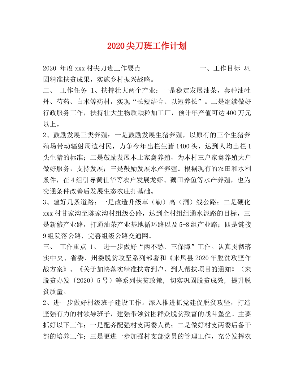 2024尖刀班工作计划 _第1页