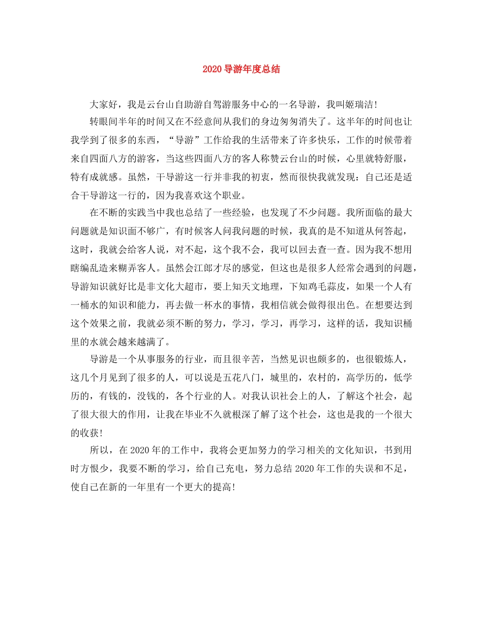 2024导游年度总结 _第1页