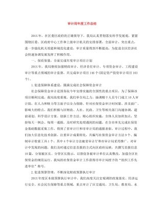 审计局年度工作总结