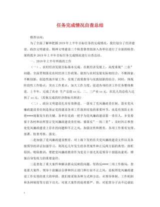 任务完成情况自查总结