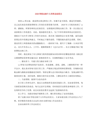 2024学校出纳个人年终总结范文 