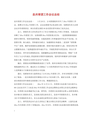 县共青团工作会议总结