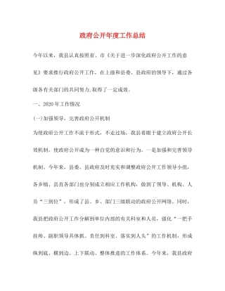 政府公开年度工作总结