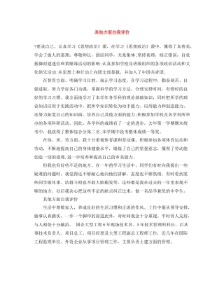 其他方面自我评价