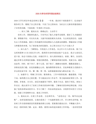 2024大学生村官年度总结例文 