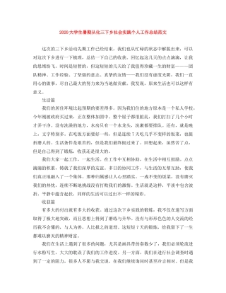 2024大学生暑期从化三下乡社会实践个人工作总结范文 