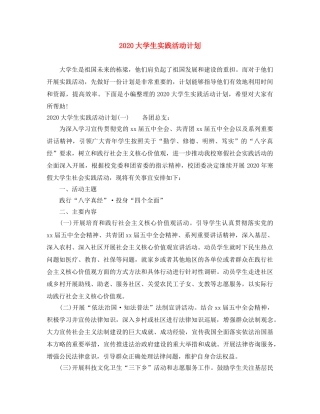 2024大学生实践活动计划 