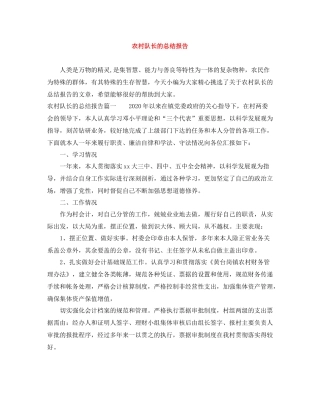 农村队长的总结报告