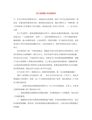 员工试用期工作自我评价