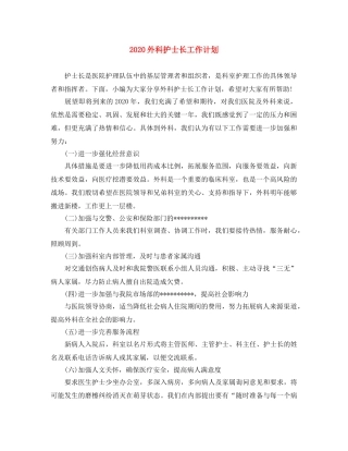 2024外科护士长工作计划 