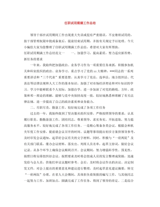 任职试用期满工作总结