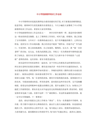 中小学校新教师培训工作总结