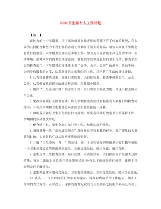 2024卫生部个人工作计划 